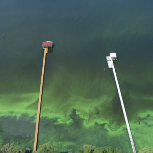Algae bloom aerial photo