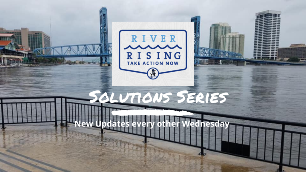 Advocacy Wednesday Webinars Take Action! (4)