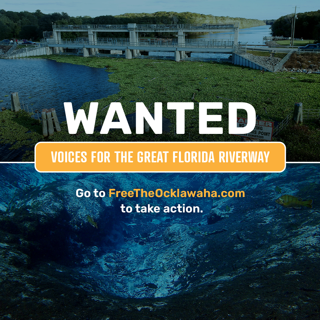 Wanted: Voices for the Riverway