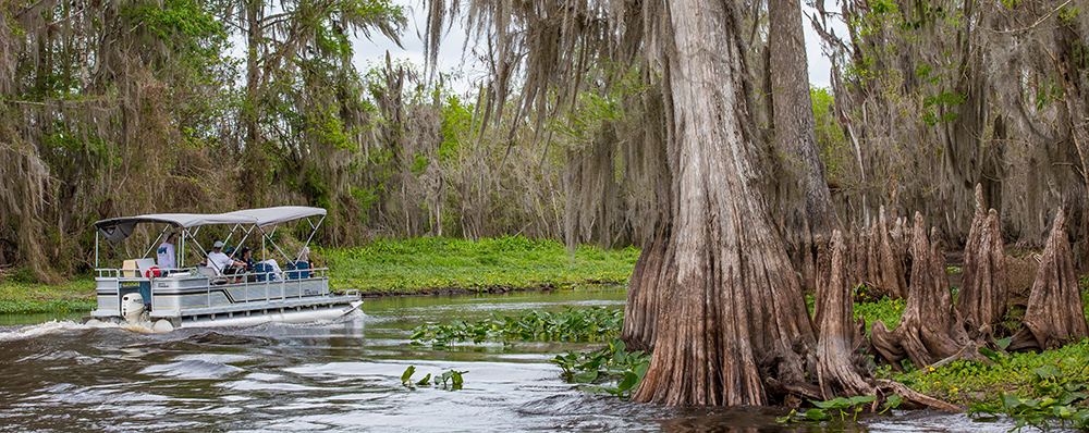 Up Close and Personal: Tour the Ocklawaha