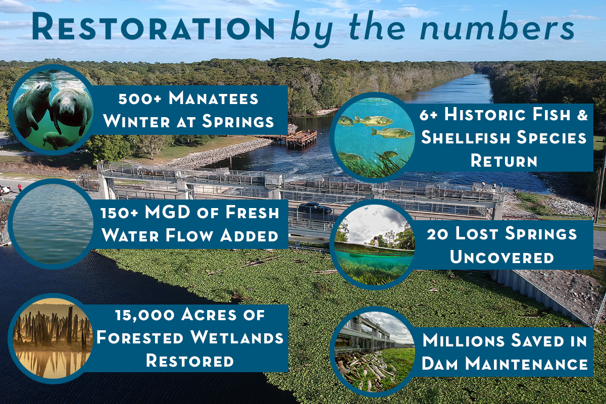 Restoration by the Numbers infographic