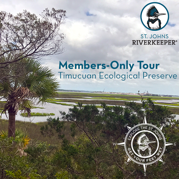 Members-Only Timucuan Preserve Tour