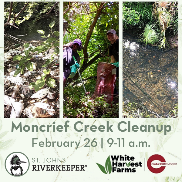 February 26 Moncrief Creek Cleanup