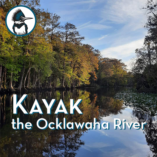 Kayak the Ocklawaha River