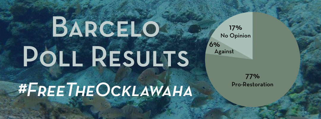 Barcelo Poll Results