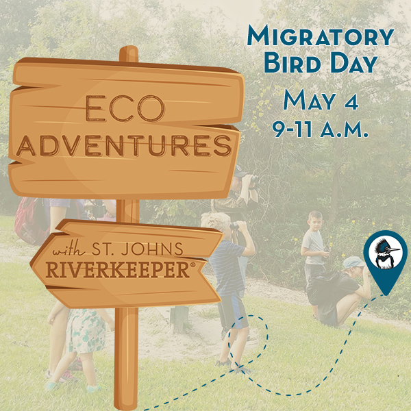 Migratory Bird Day Eco Adventure