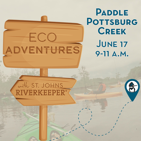 Paddle Pottsburg Creek