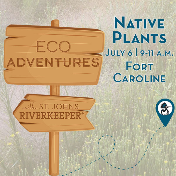 Eco Adventure: Native Plants