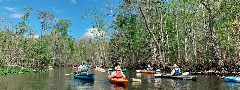Kayakers on the Ocklawaha River