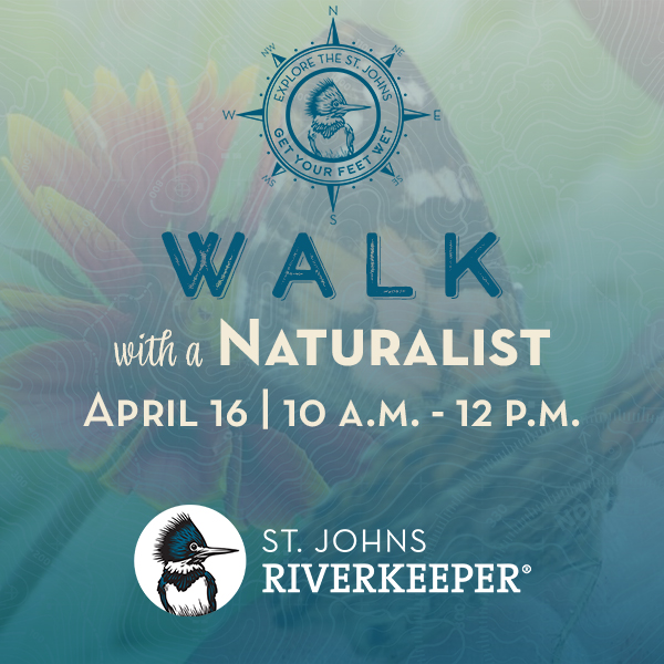 Walk with a Naturalist