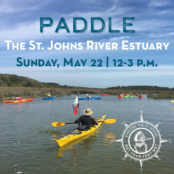 Paddle the St. Johns River Estuary