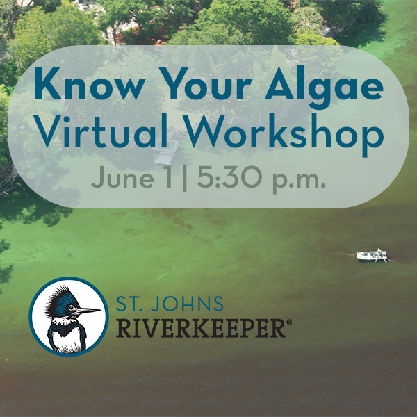 Know Your Algae Workshop