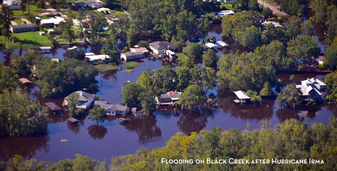 Flooding on Black Creek after Hurricane Irma