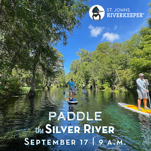 Paddle the Silver River