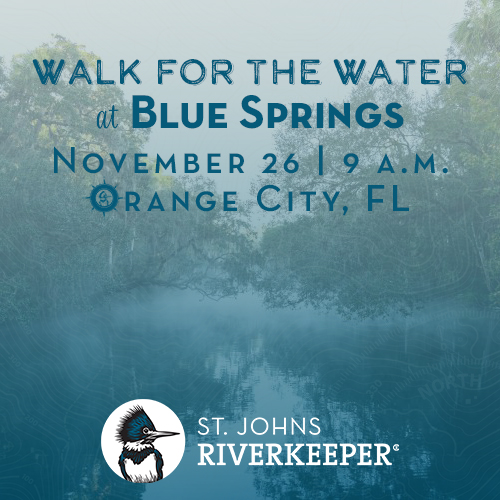 Walk for the Water