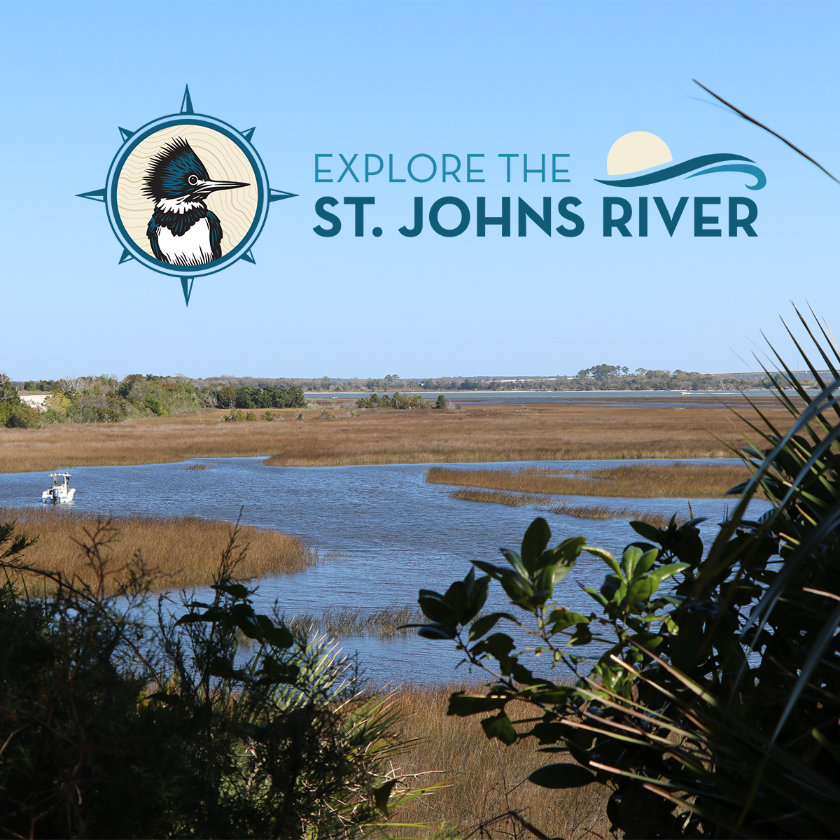 Explore the St. Johns River logo on wetlands photo