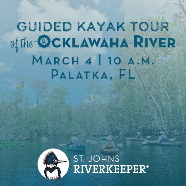 Kayak the Ocklawaha March 2023