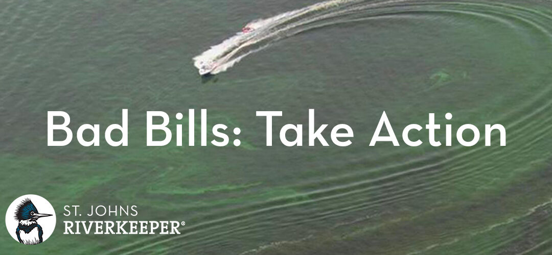 Bad Bills: Take Action - algae bloom photo