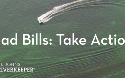 3 Dangerous Bills in Florida: Take Action