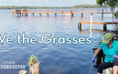 Searching for Eelgrass, Seeking Solutions