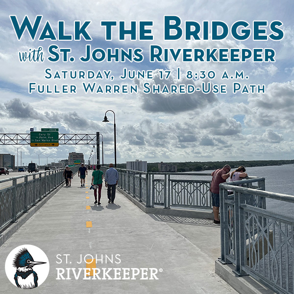 Walk the Bridges, June 17