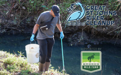 First Annual Great St. Johns River Cleanup Results