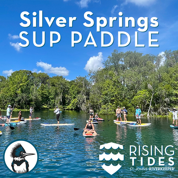 Silver Springs SUP Paddle