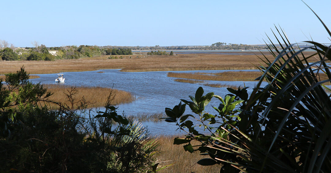 view of the water from the Timucuan Preserve