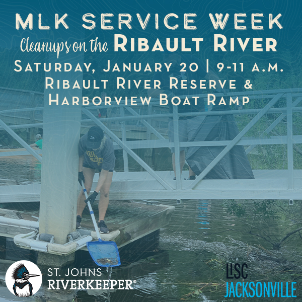 MLK Service Week Cleanups on the Ribault River