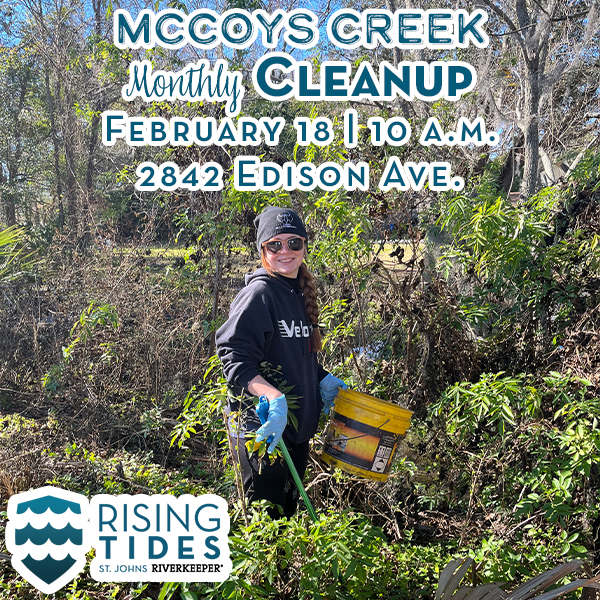 McCoys Creek Cleanup volunteer