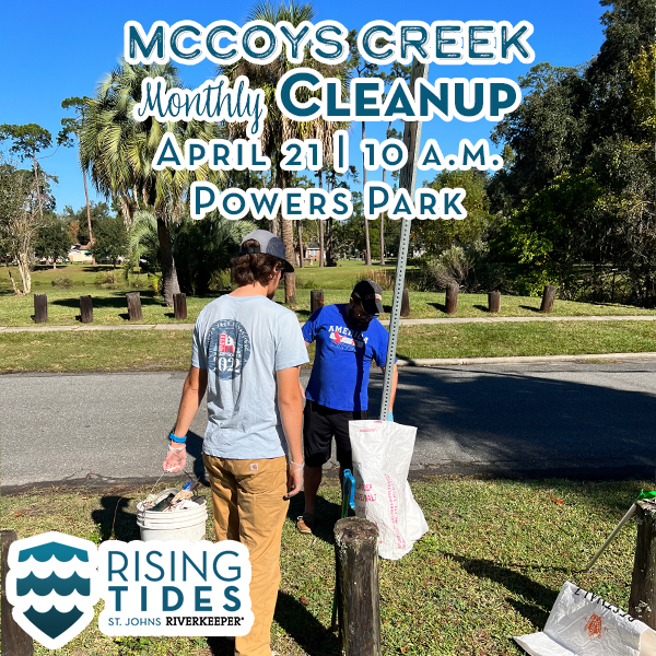McCoys Creek Cleanup at Powers Park